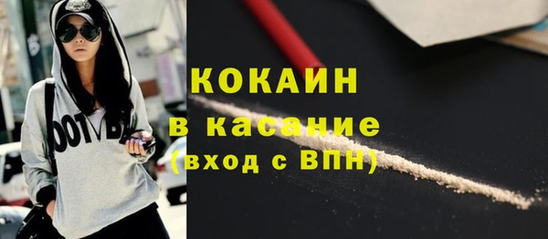 хмурый Алзамай
