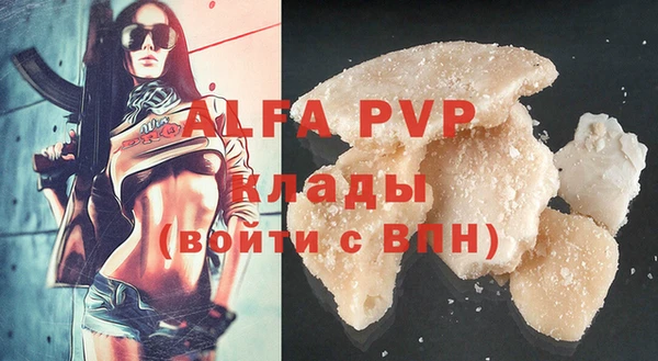 гашик Семилуки