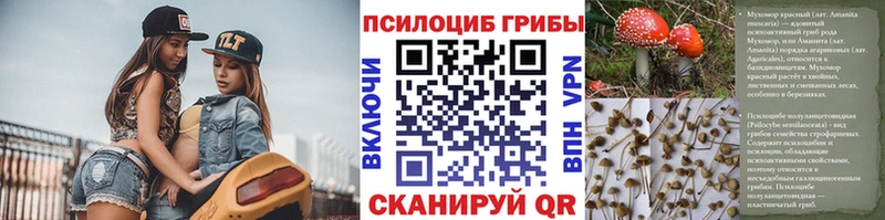Псилоцибиновые грибы Psilocybine cubensis  Камешково 